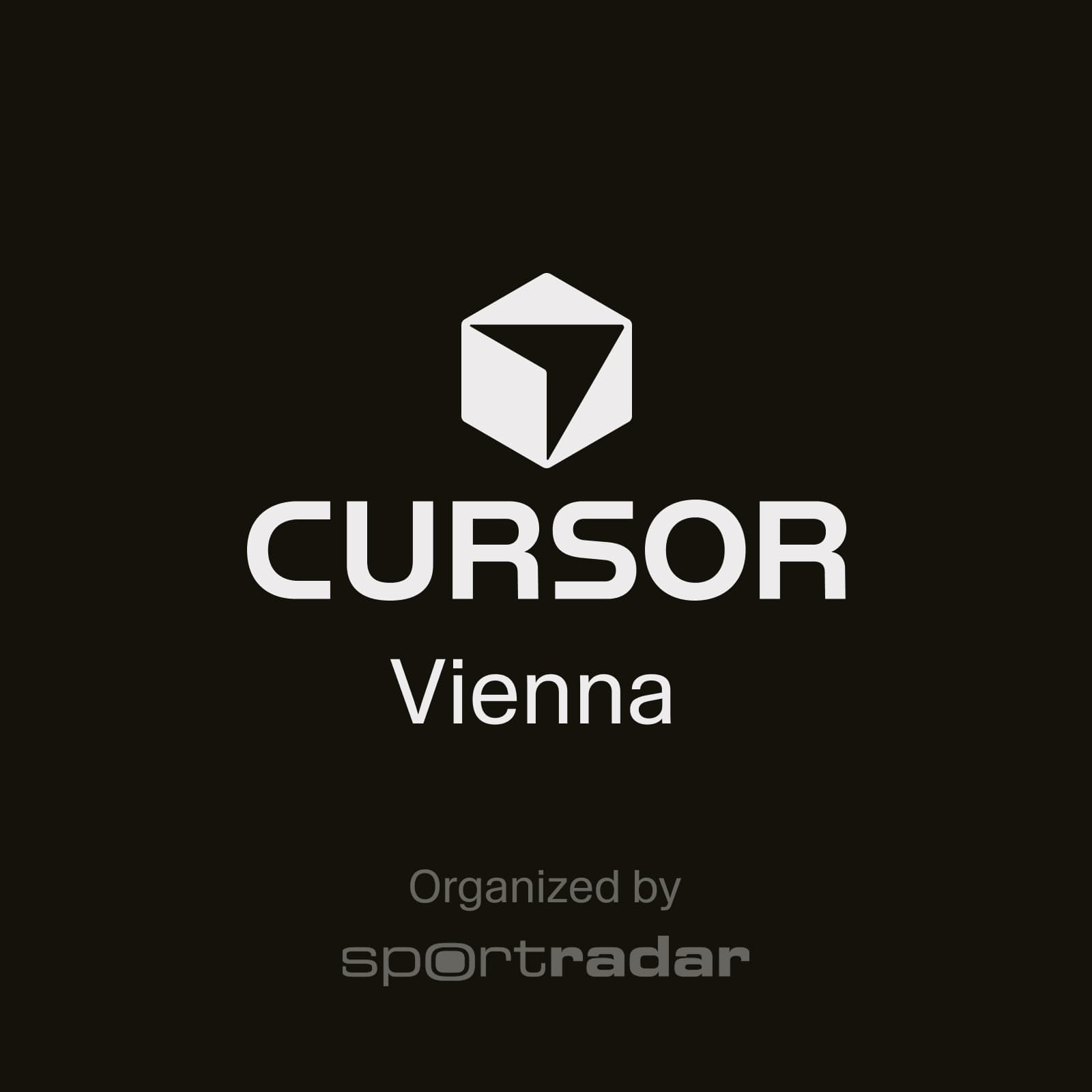 Cursor Meetup Vienna #2
