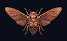 Cicada logo